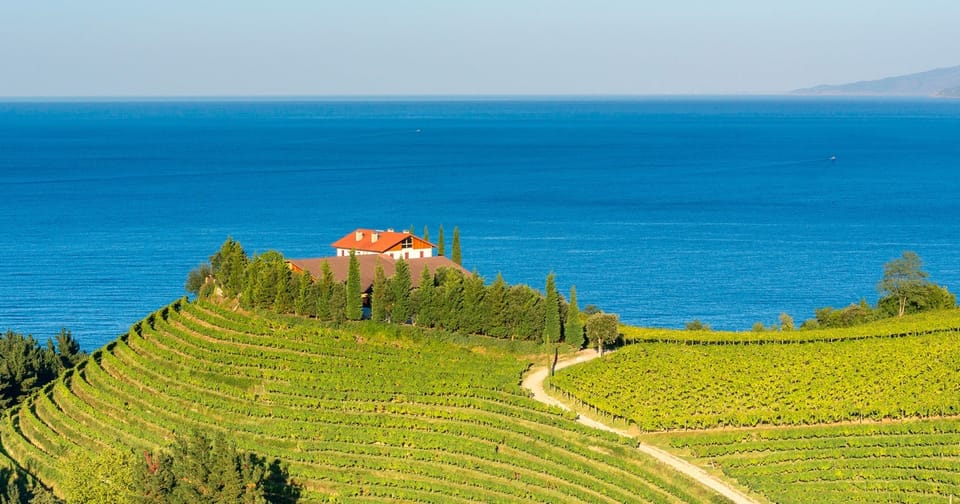 Txakoli, the famous Basque wine that grows among cliffs.